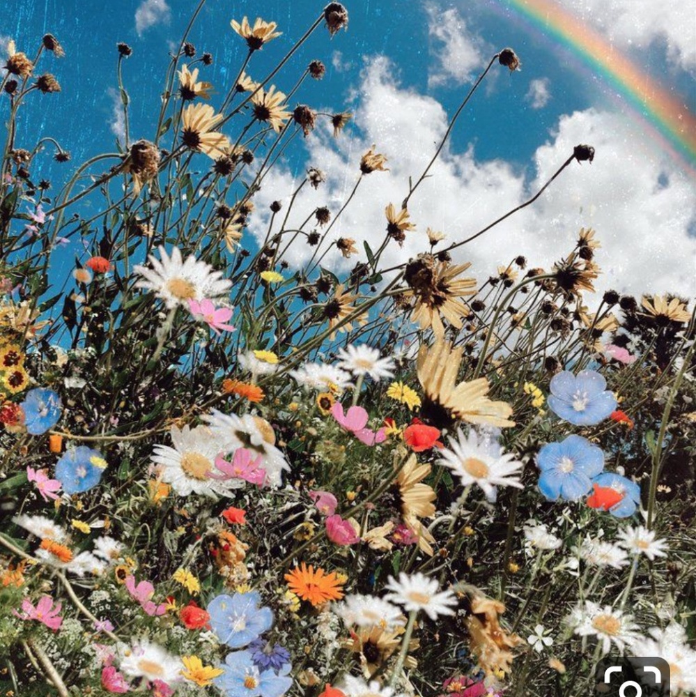 Meet your Posher, Jillian